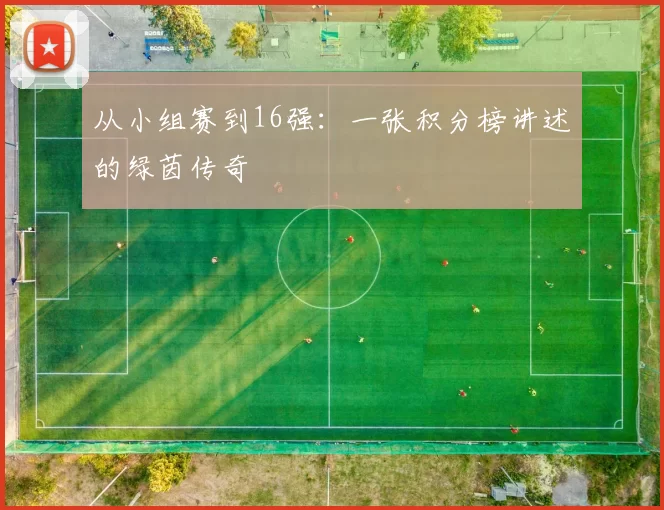 从小组赛到16强:一张积分榜讲述的绿茵传奇