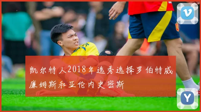凯尔特人2018年选秀选择罗伯特威廉姆斯和亚伦内史密斯