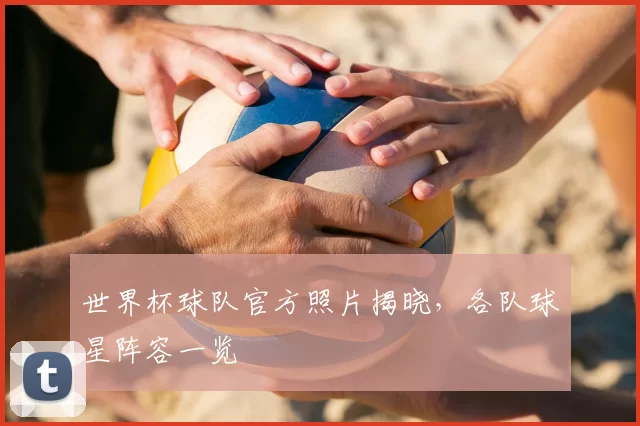 世界杯球队官方照片揭晓,各队球星阵容一览