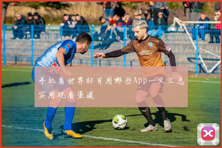 手机看世界杯可用哪些App一文汇总实用观看渠道